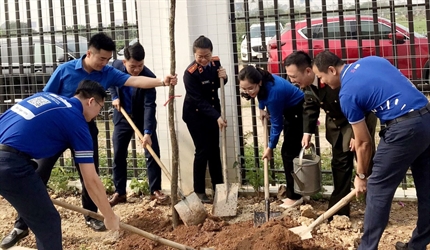 Hoạt động sôi nổi của Đoàn thanh niên Viện KSND huyện Thanh Trì trong...